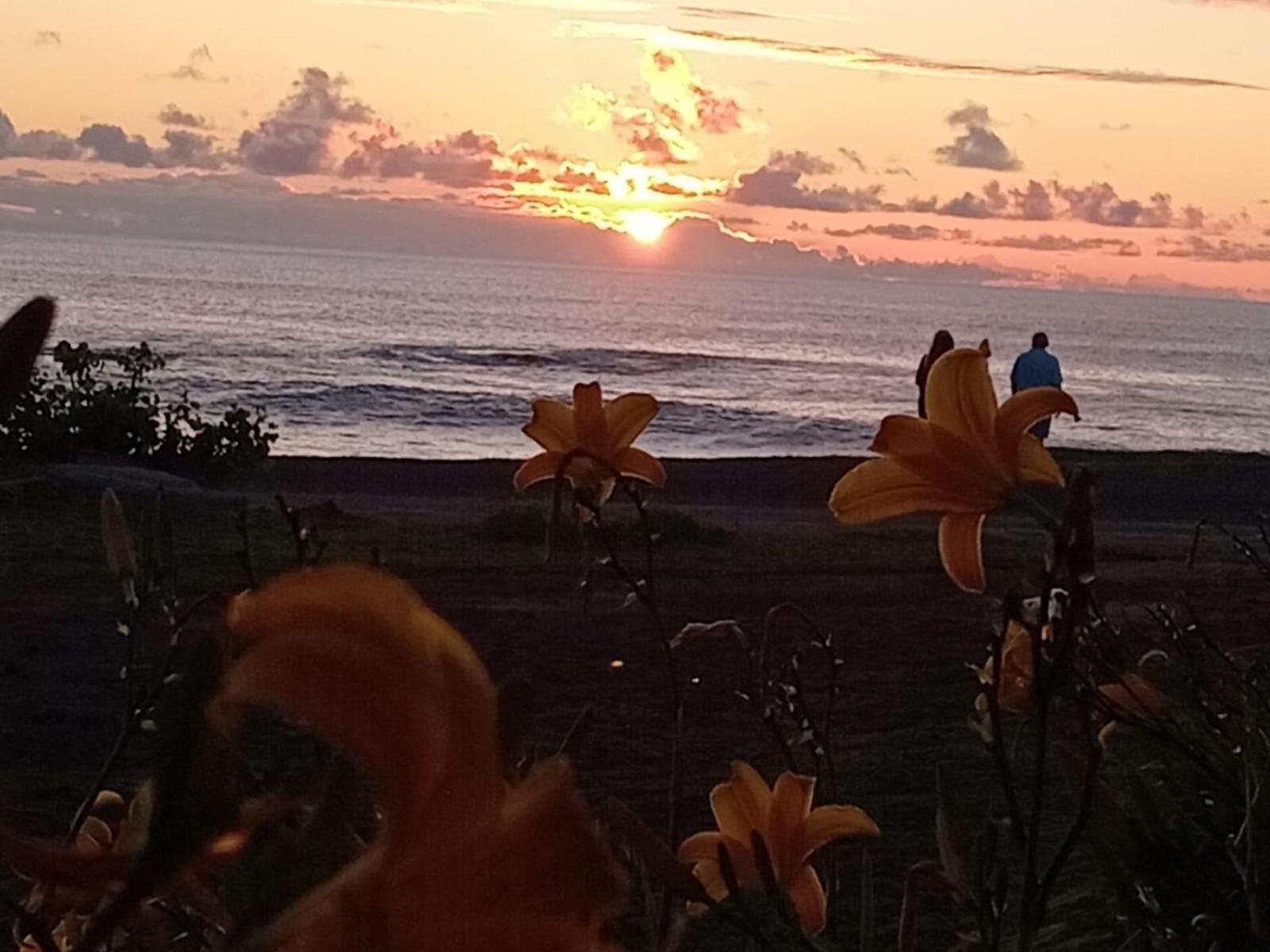 Cabanas & Hostal Tojika Hanga Roa Kültér fotó